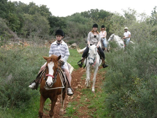 חוות מונפורטויטו